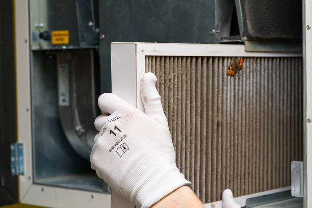 Best Affordable Air Duct Cleaning  in University Park, IL