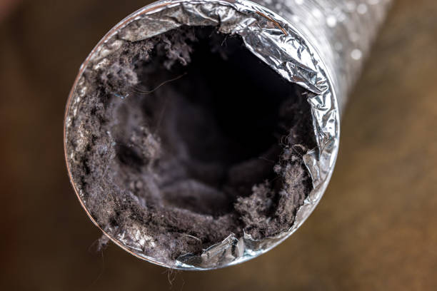 Best Professional Duct Cleaning Services  in University Park, IL